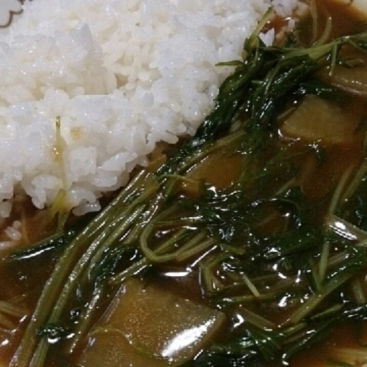 すぐできる☆大根と水菜のカレー